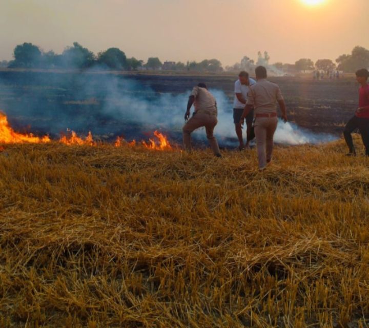 फूलपुर थाना क्षेत्र के बरही कला गांव में आज अचानक गेहूं की तैयार खड़ी फसल में भीषण आग लग गई। जय हिंद पटेल का गेहूं जला