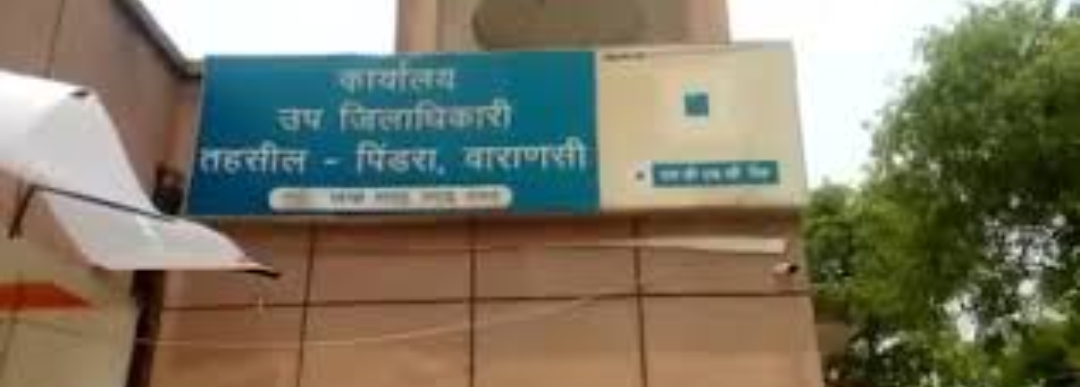 तहसील बार पिंडरा का वार्षिक चुनाव आज