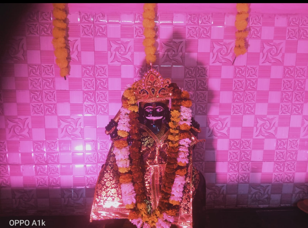 शनिदेव महाराज के स्थापना दिवस पर हुआ भंडारा