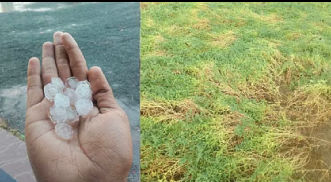 यूपी में 13 व 14 मार्च को बारिश के आसार, ठंड की पूरी तरह विदाई से पहले बदलेगा मौसम