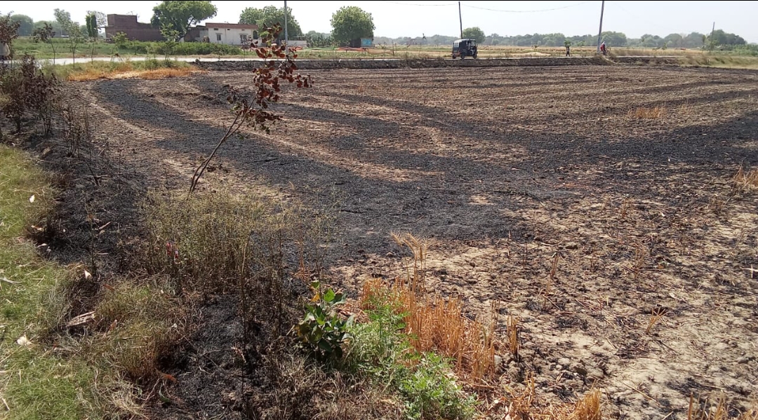 3 साल से लगातार गेहूं के खेत मे लग रही है आग