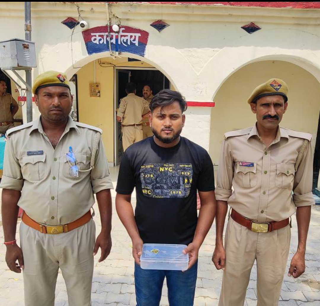 नाबालिग लड़की को बहला-फुसलाकर भगा ले जाने के मामले में आरोपी को मिली जमानत