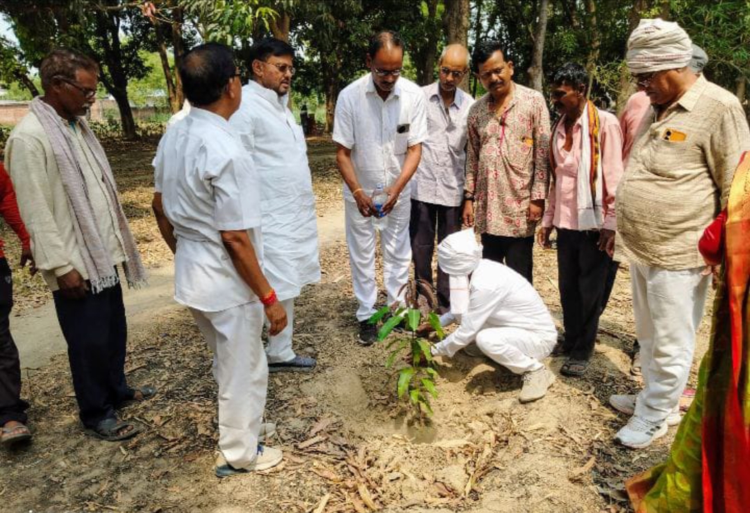 पर्यावरण बचाने के लिए अधिक से अधिक पेड़ लगायें