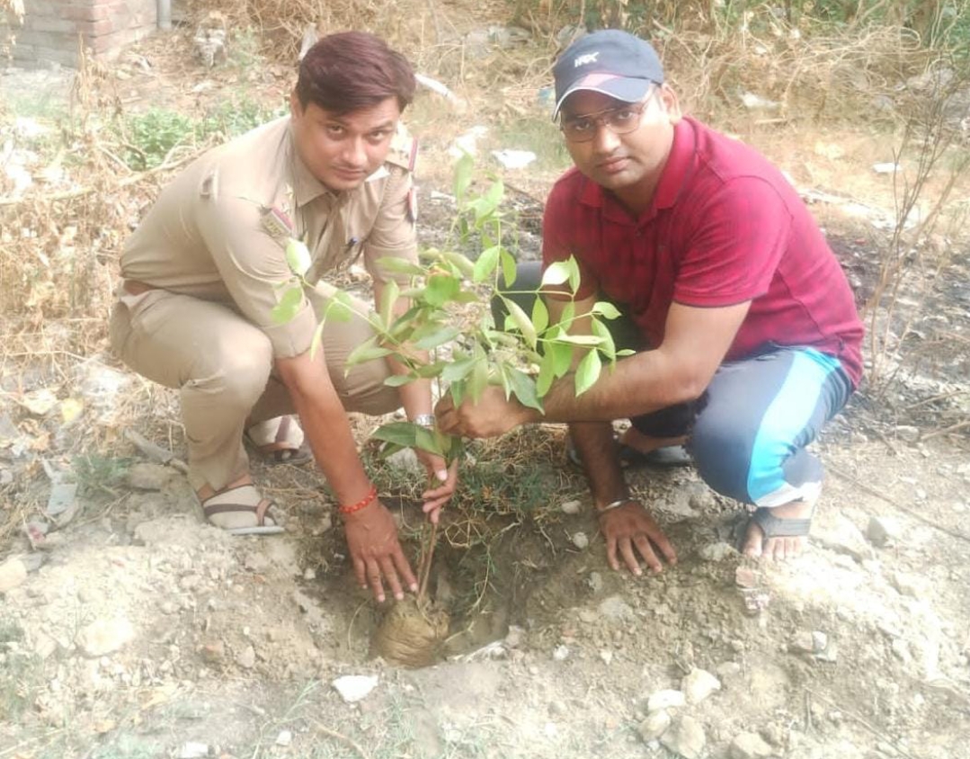 बारिश के मौसम में ज्यादा से ज्यादा करे वृक्षारोपण