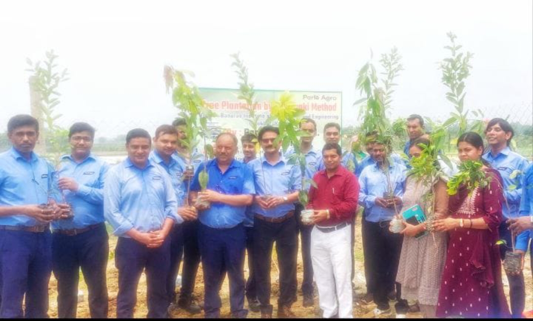 मियावाकी पद्धति से रोपे गए 35 सौ पौधे