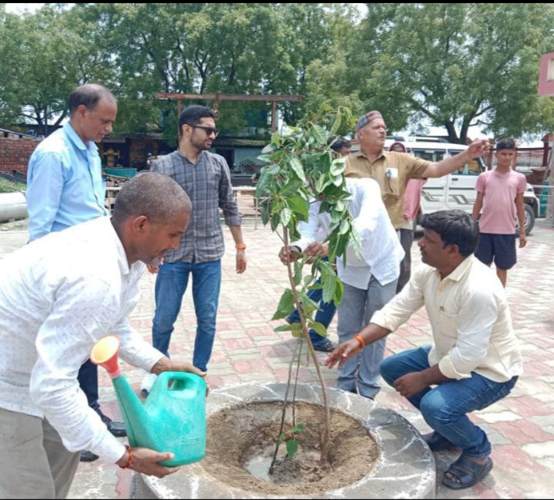 लक्ष्य के सापेक्ष कम गड्ढे की खुदाई होने पर सीडीओ ने जताई नाराजगी