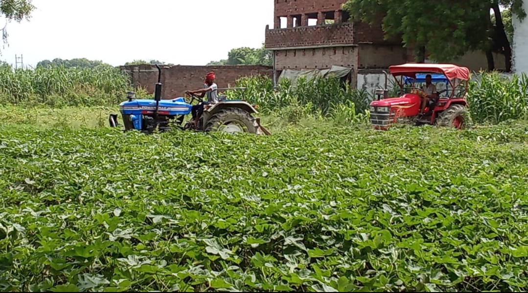 जंगल की जमीन को खाली कराने के लिए एसडीएमपिंडरा के साथ पहुंची भारी पुलिस बल