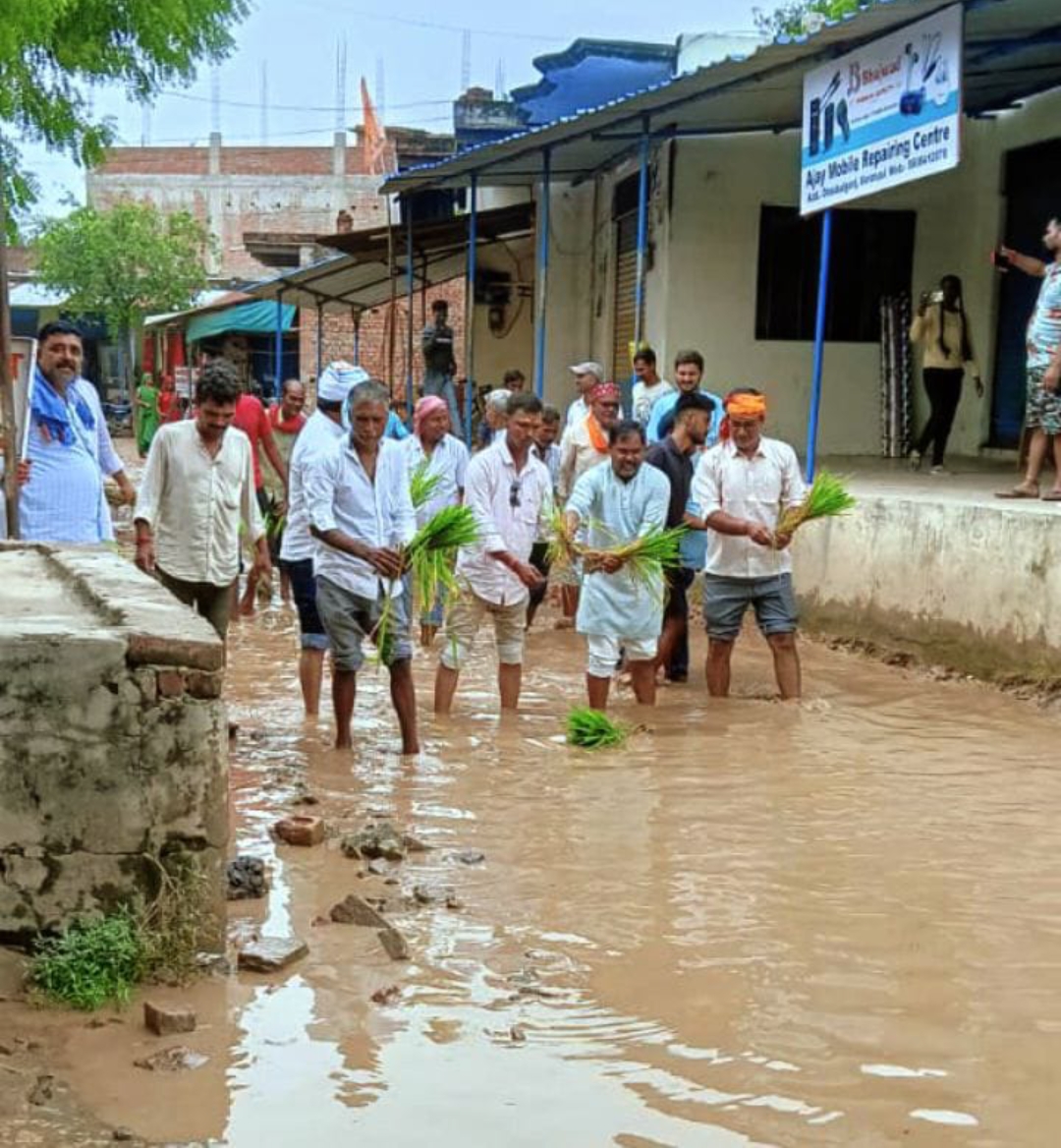 कांग्रेसियों ने सड़क पर की धान की रोपाई