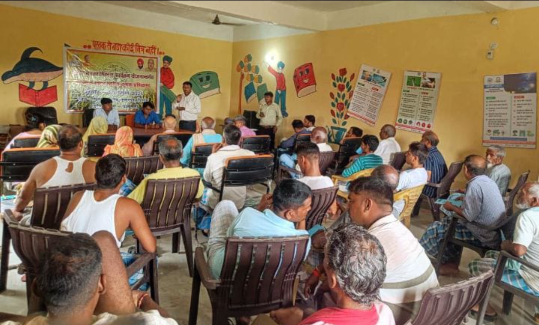 मक्का की खेती आर्थिक उन्नति का स्रोत