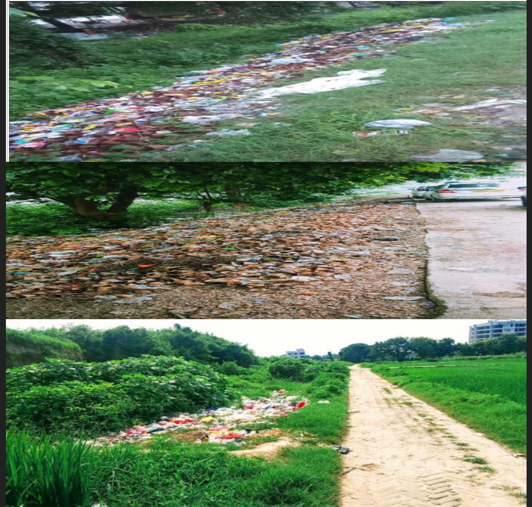 सगुनहां गांव में है गंदगी व कूड़े का ढेर कब होगी साफ सफाई