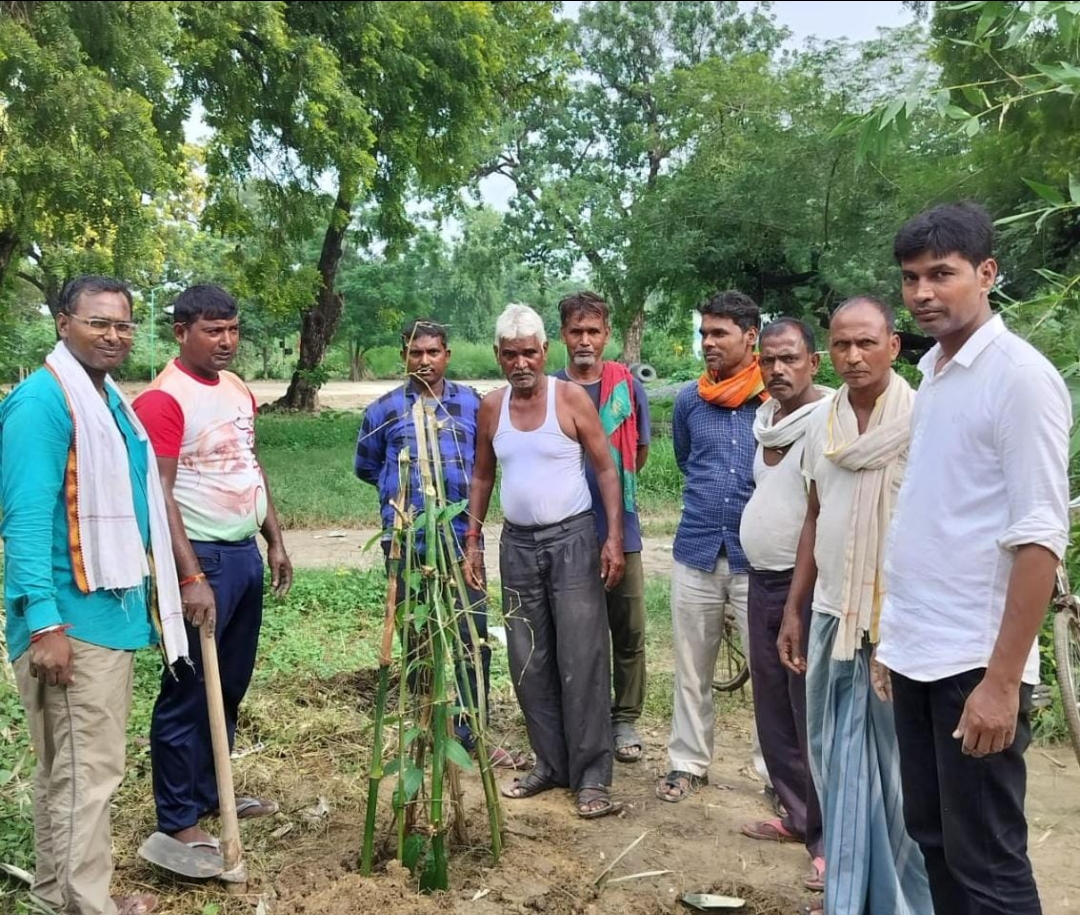 पौधरोपण कर मण्डल अध्यक्ष की मनाई पुण्यतिथि