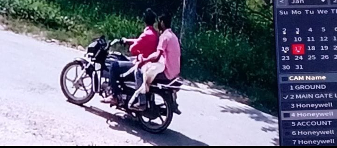 बकरा चोर गिरोह सक्रिय*फूलपुर व सिंधोरा थाना क्षेत्र में बकरी पालको में दहशत