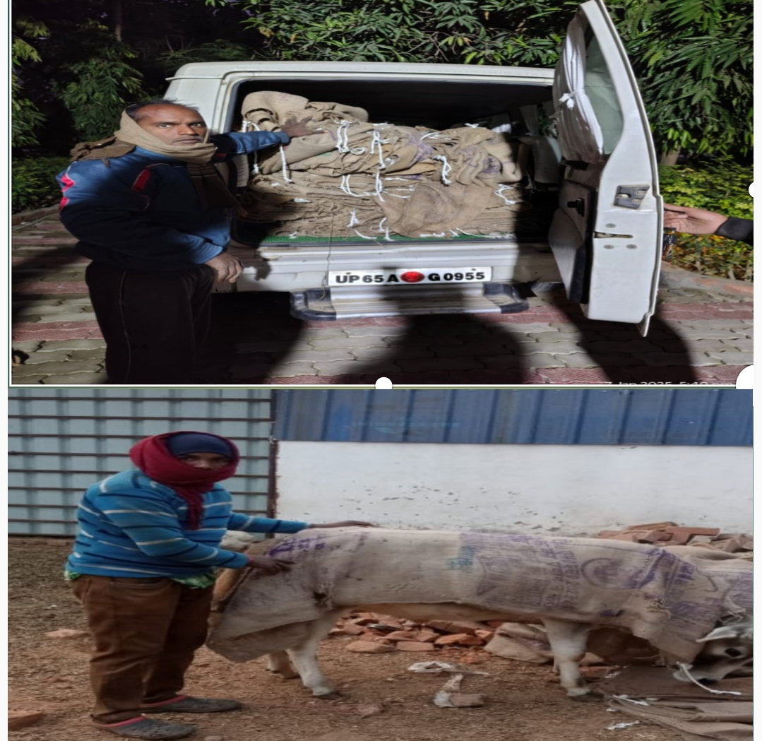 रॉयल शाइन टाइम्स खबर का असर जिलाधिकारी ने प्रमुखता से लिया