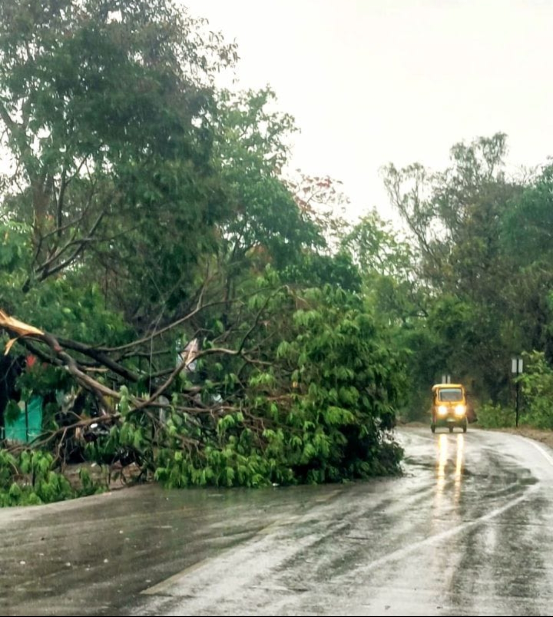 आंधी व बारिश से ठप हुआ जनजीवन, गेंहू को हुआ नुकसान