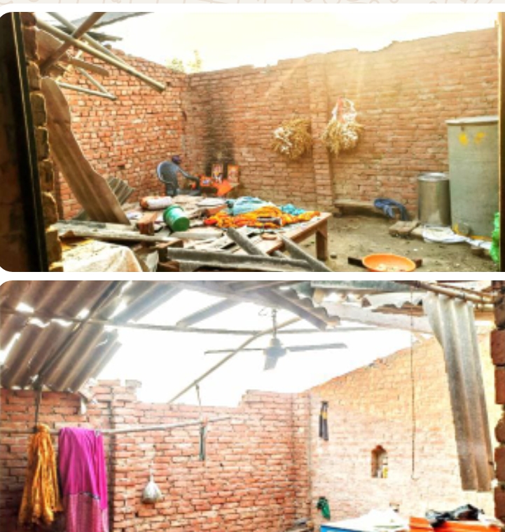 चक्रवाती हवाओं से विद्युत व वन विभाग को हुआ ज्यादा नुकसान