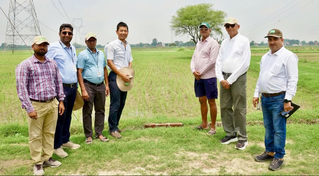 धान की खेती में भारत-जापान की नई साझेदारी!टोक्यो यूनिवर्सिटी के प्रो. काटो ने किया आइसार्क का दौरा, डीएसआर तकनीक पर किसानों से की सीधी बात