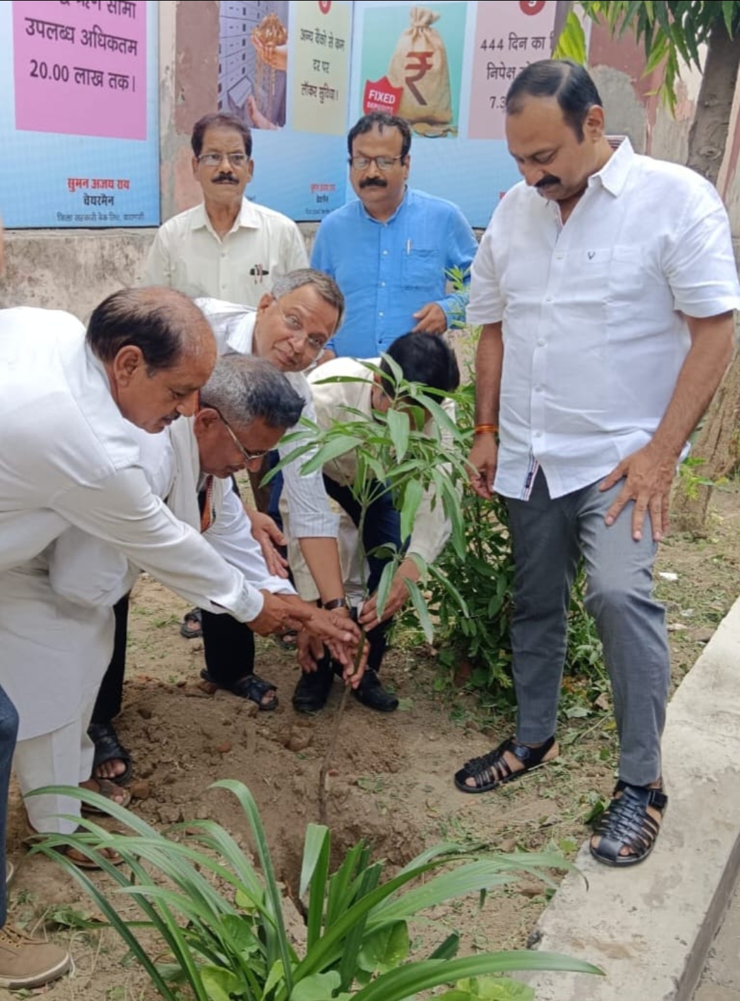 जिलासहकारीबैंक मे हुआ पौधारोपण