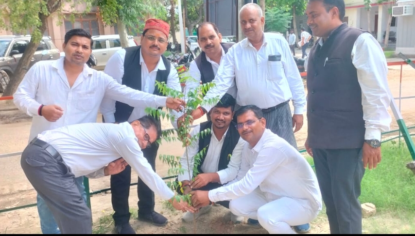 तहसील परिसर में हुआ वृच्छारोपण