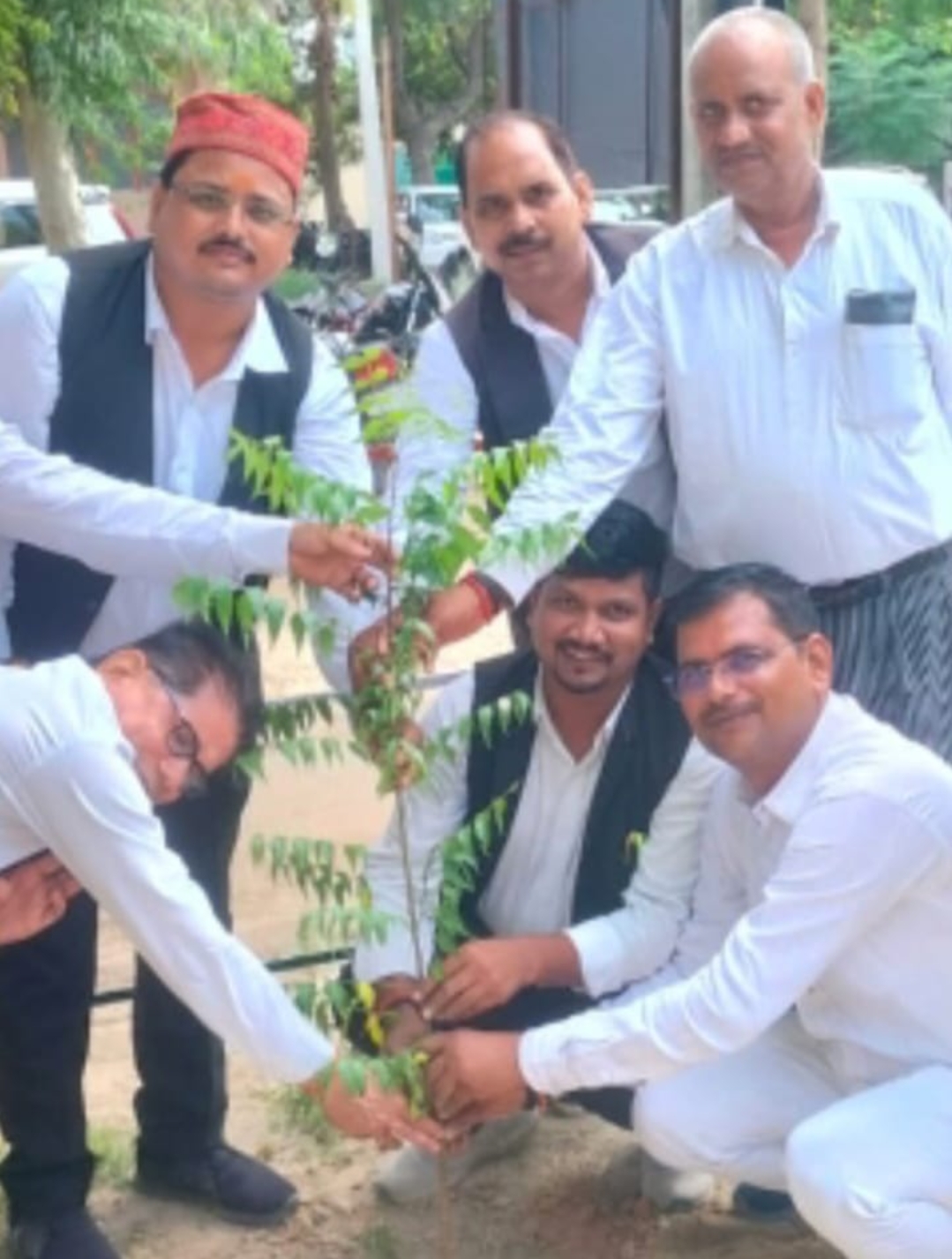 तहसील परिसर में हुआ पौधारोपण