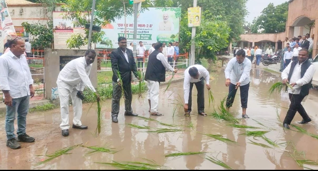 बारिश से जलमग्न हुआ तहसील परिसर, वकीलों ने की धान की रोपाई