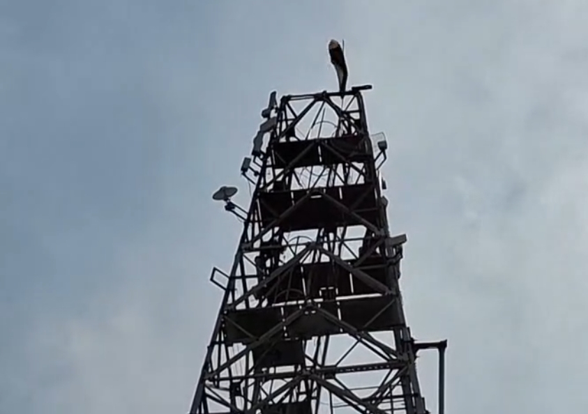 प्रेमिका से शादी के लिए युवक टावर पर चढ़ा, पुलिस-फायर ब्रिगेड अलर्ट