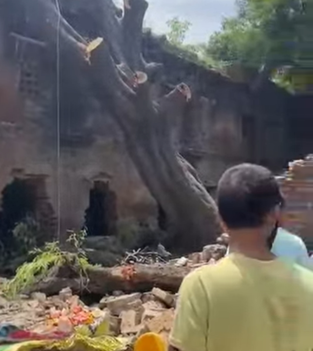 वाराणसी में पेड़ की टहनी गिरने से बड़ा हादसा, दो बच्चियों समेत कई लोग घायल