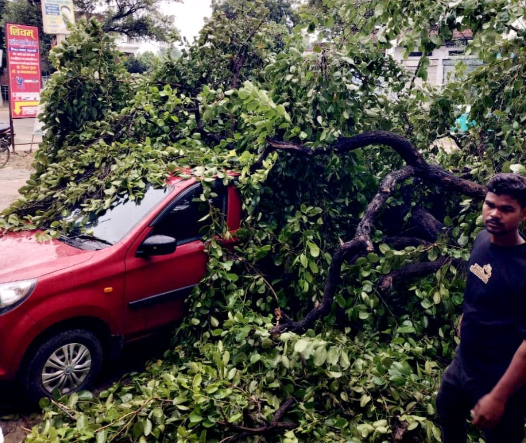 बारिश से डाल गिरने से क्षतिग्रस्त हुई कार