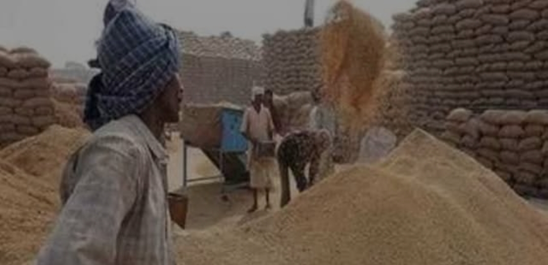 किसानों को राहत — जिलाधिकारी सतेंद्र कुमार ने दिए सख्त निर्देशधान क्रय केंद्रों पर बिना भेदभाव और पारदर्शिता के की जाए खरीद, काश्तकारों को न हो कोई परेशानी