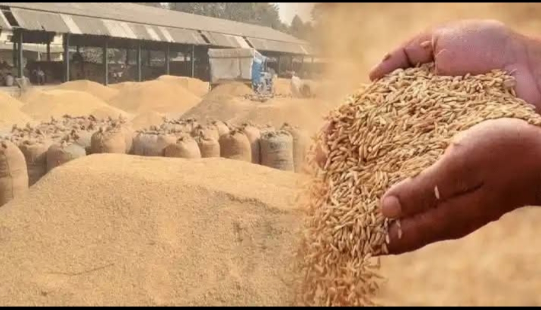 वाराणसी में धान खरीद रफ्तार पकड़ने लगी—35 केंद्रों पर किसानों की बढ़ी आवाजाही