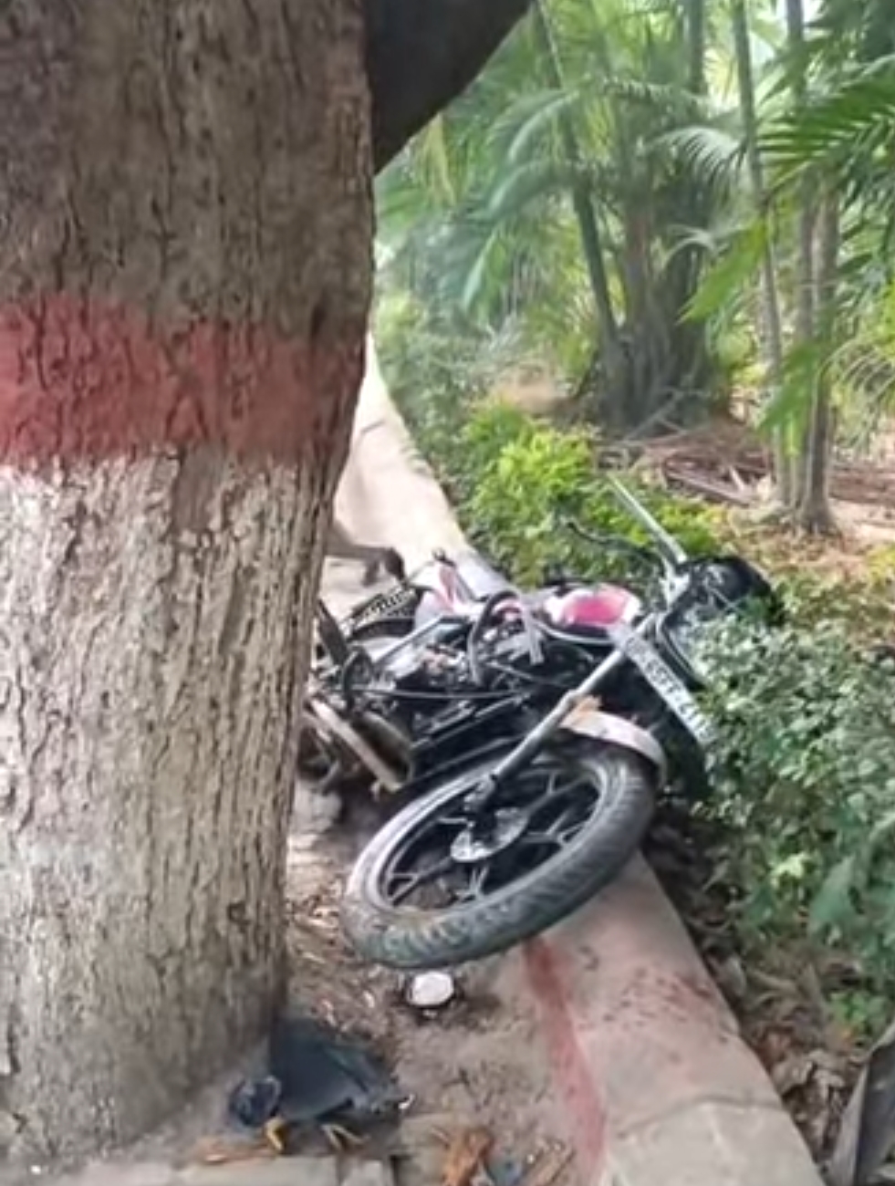 BHU में देर रात दर्दनाक हादसा: तेज रफ्तार बाइक आम के पेड़ से टकराई, एमपीएड छात्र की मौत, दो गंभीर