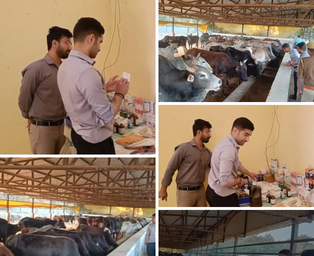 🐄 शहंशाहपुर गौशाला का निरीक्षण: नगर आयुक्त ने दिए सख्त निर्देश, मॉडल गौशाला बनाने की पहल
