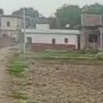 ग्राम सभा सदस्य ने पिंडरा के असिला में रास्ता बनवाने के लिए जिला पंचायत से लगाई गुहार