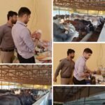 🐄 शहंशाहपुर गौशाला का निरीक्षण: नगर आयुक्त ने दिए सख्त निर्देश, मॉडल गौशाला बनाने की पहल