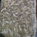 बैंकॉक से वाराणसी आए विमान में 25 किलो से अधिक गांजा बरामद, गुजरात के तीन यात्री गिरफ्तार