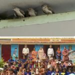 विश्व गौरैया दिवस पर छात्रों ने बनाए सुंदर व टिकाऊ घोंसले