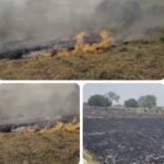 ट्रांसफार्मर की चिंगारी से 7 बीघा गेहूं की फसल जलकर राख